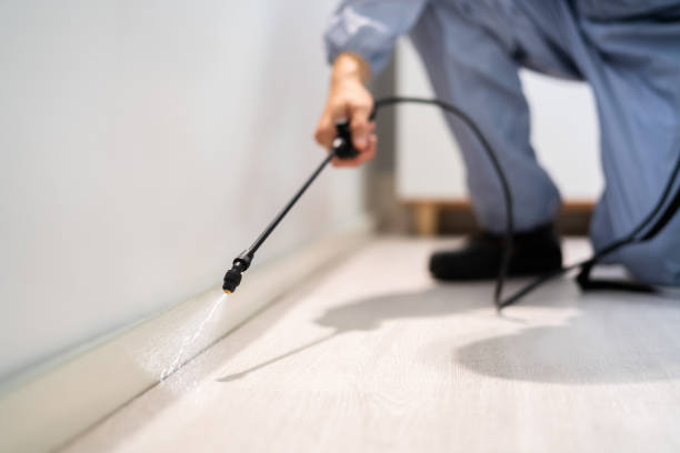 Certified termite inspector examining foundation in West Point