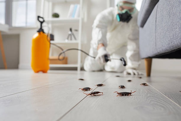 Post-Treatment Bed Bug Interceptor Monitoring in West Point