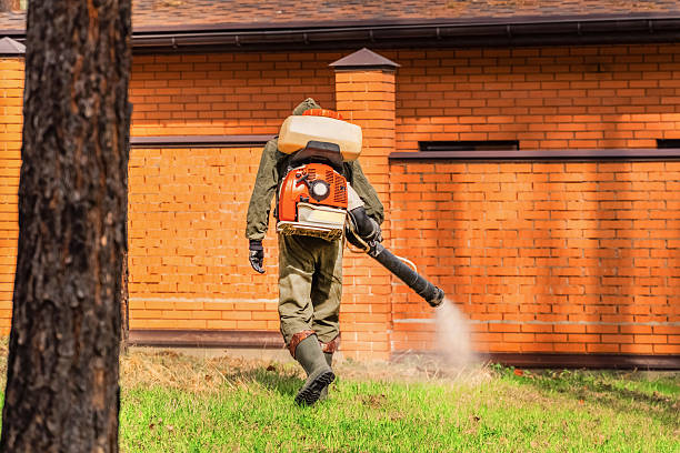 Bed Bug Clearance Verification and Documentation in West Point
